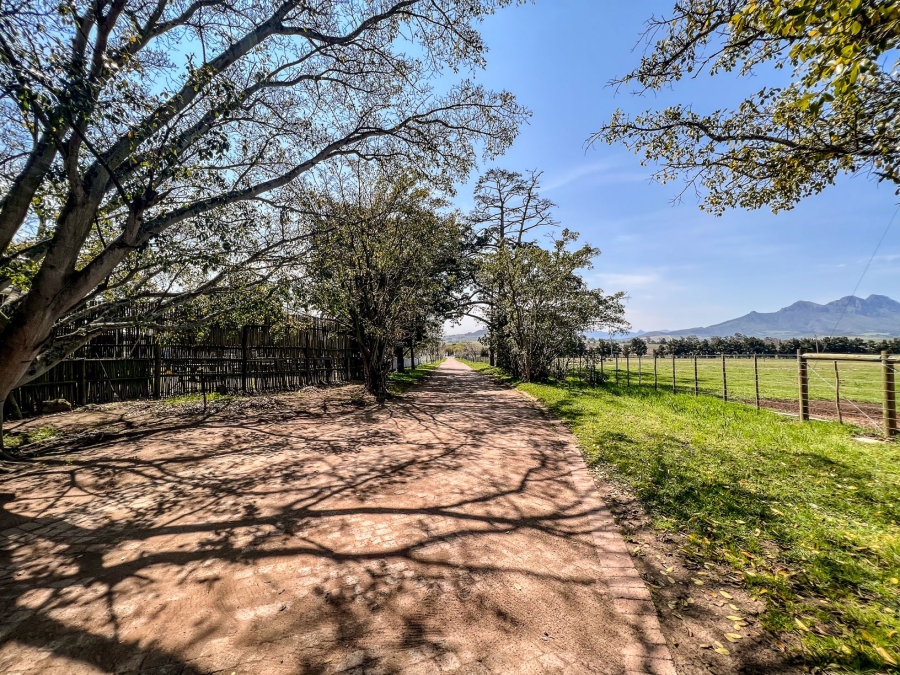 To Let 3 Bedroom Property for Rent in Stellenbosch Farms Western Cape